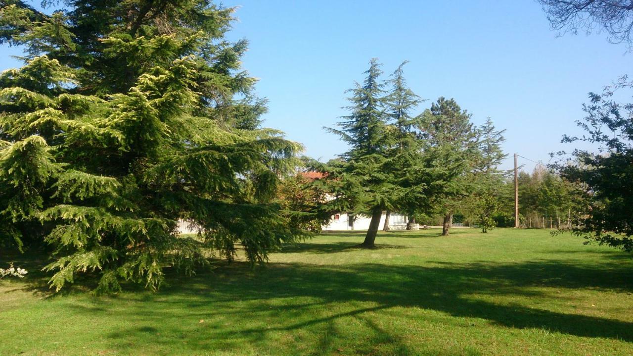Le Pontet Bed & Breakfast Miramont-de-Guyenne Exterior photo